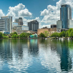 Public Adjuster