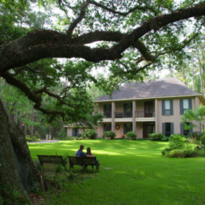 Public Adjuster